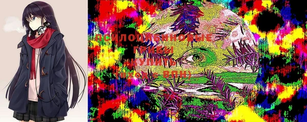 прущий лед Няндома