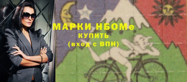 винт Инта